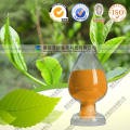 Natural Java Tea Extract 40% 98% Tea Polyphenols